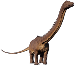 Diplodocus (JWE Design) Meme Template