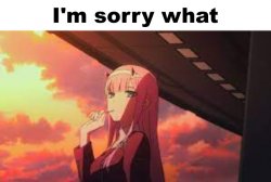 zero two i'm sorry what Meme Template