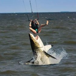 Woman almost eaten by shark Meme Template