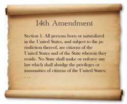 14th Amendment birthright citizenship Meme Template