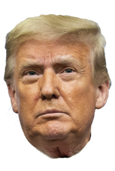 Trump head portrait with transparency Meme Template