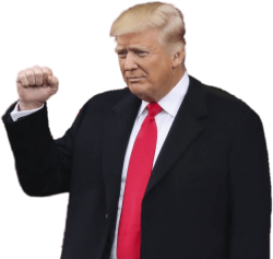 Trump fist with transparency Meme Template