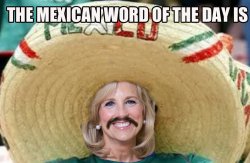 Mexican Word of the Day Jill Biden Blank Meme Template