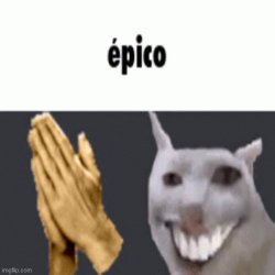 cursed epico cat Meme Template