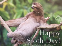 Happy Sloth Day Meme Template