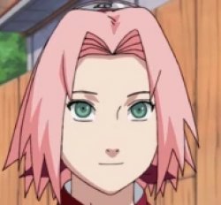 Sakura Meme Template