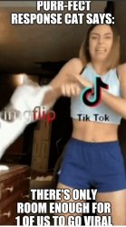 Tik tok, cat Meme Template