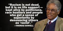 Sowell on racists Meme Template