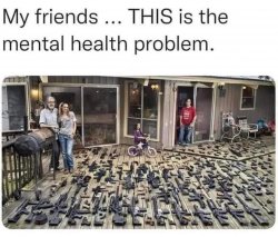 Gun nuts are the mental health problem Meme Template