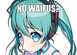 no waifus? Meme Template