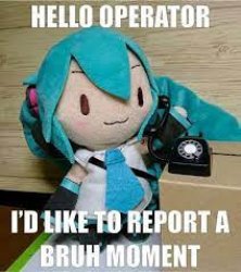 hello operator i'd like to report a bruh moment Meme Template