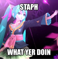 staph what yer doin Meme Template