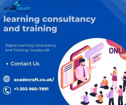 learning consultancy and training Meme Template