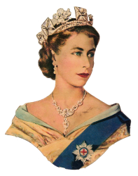 peteeone1@gmail.com Meme Template