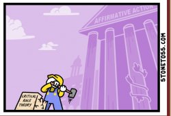 Stonetoss affirmative action Meme Template
