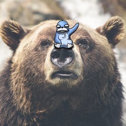 wassie bear Meme Template