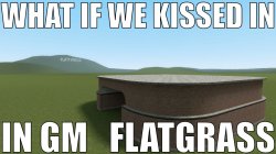 WHAT IF WE KISSED IN GM_FLATGRASS Meme Template