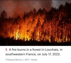 Forest fire in France Meme Template