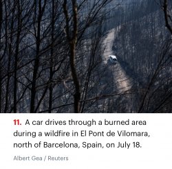 Forest fire in Spain Meme Template