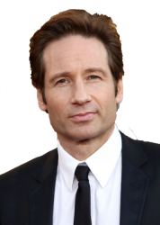 Fox Mulder X-Files Meme Template