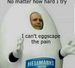 Can’t eggscape the pain Meme Template