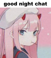 zero two good night chat Meme Template