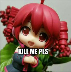 kasane teto kill me pls Meme Template