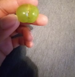 Butt shaped grape Meme Template