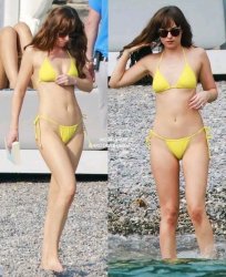 Dakota Johnson Meme Template