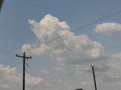 Dumbo Cloud Meme Template