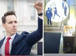 Josh Hawley - coward, traitor, white supremacist, Trump coup Meme Template