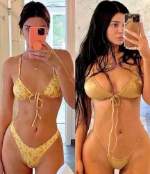 Kendall & Kylie Jenner Meme Template