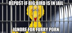 Big bird in jail Meme Template