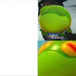 I sleep fall guys Meme Template
