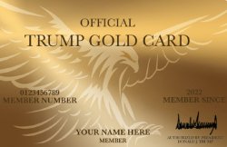 Trump Gold Card Meme Template