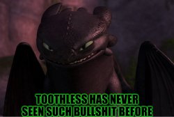Toothless has never seen such bullshit before (HTTYD) Meme Template