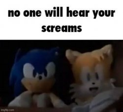 no one will hear your screams Meme Template