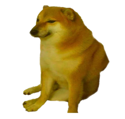 Sad doge Meme Template