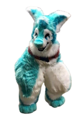 amongus fursuit Meme Template