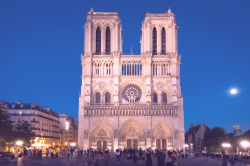 Notre Dame Meme Template