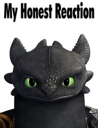 My honest Reaction (Toothless edition HTTYD) Meme Template
