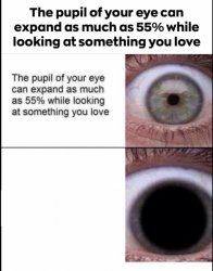 Eye Pupil Meme Template