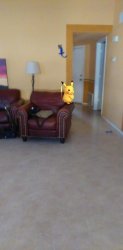 A Pikachu on the edge of a chair Meme Template