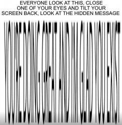 Wholesome Optical Illusion Meme Template
