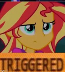 Sunset Shimmer Meme Template