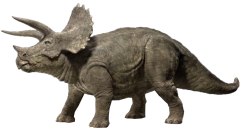 Triceratops 2 Meme Template
