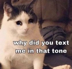 why did you text me in that tone Meme Template