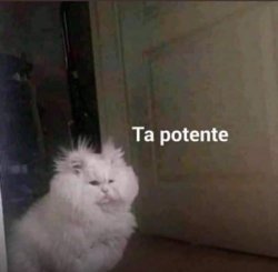 Ta potente Meme Template