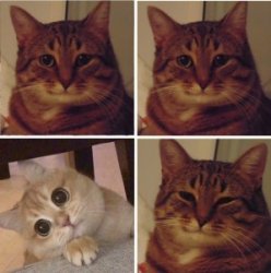 And ...? And ...! Meme Template