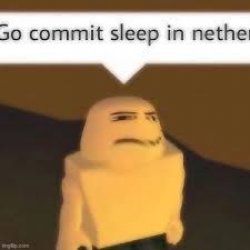 Go commit sleep in nether Meme Template